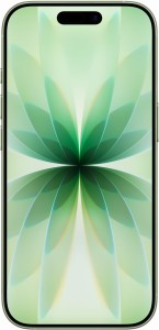iPhone_17_Sage_PDP_Image_Position_2__pl-PL.jpg